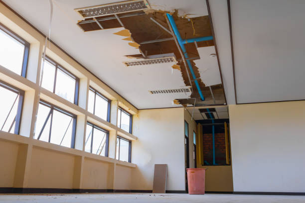 Best Flood damage cleanup  in Leonardtown, MD