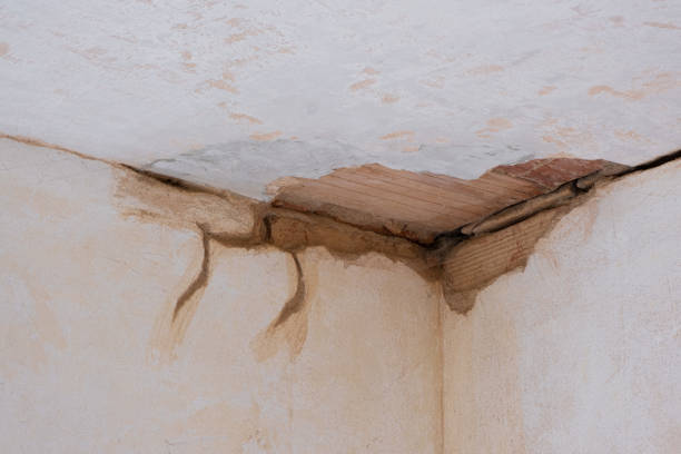 Best Flood restoration services  in Leonardtown, MD