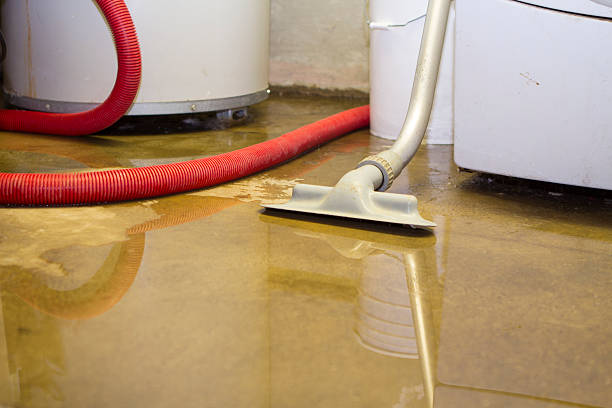Best Flood restoration services  in Leonardtown, MD