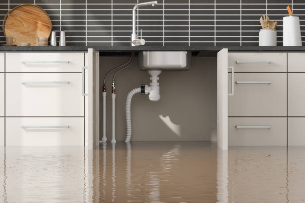 Carpet water damage restoration in Leonardtown, MD