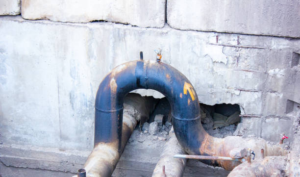 Best Carpet water damage restoration  in Leonardtown, MD